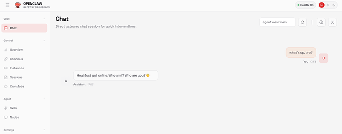 20260131_OpenClaw_install_08