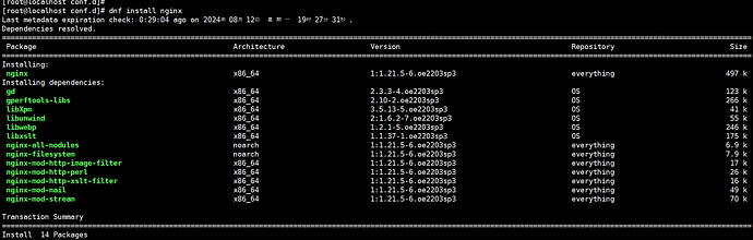 dnf-nginx